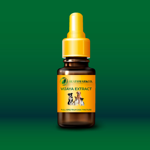 CBD Oil